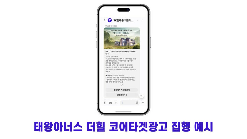 태왕아너스 더힐 코어타겟 광고 집행 예시
