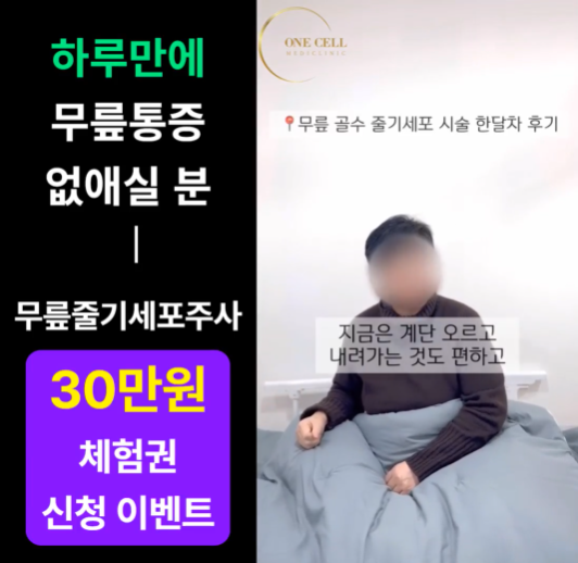 소셜미디어 광고 캠페인 예시